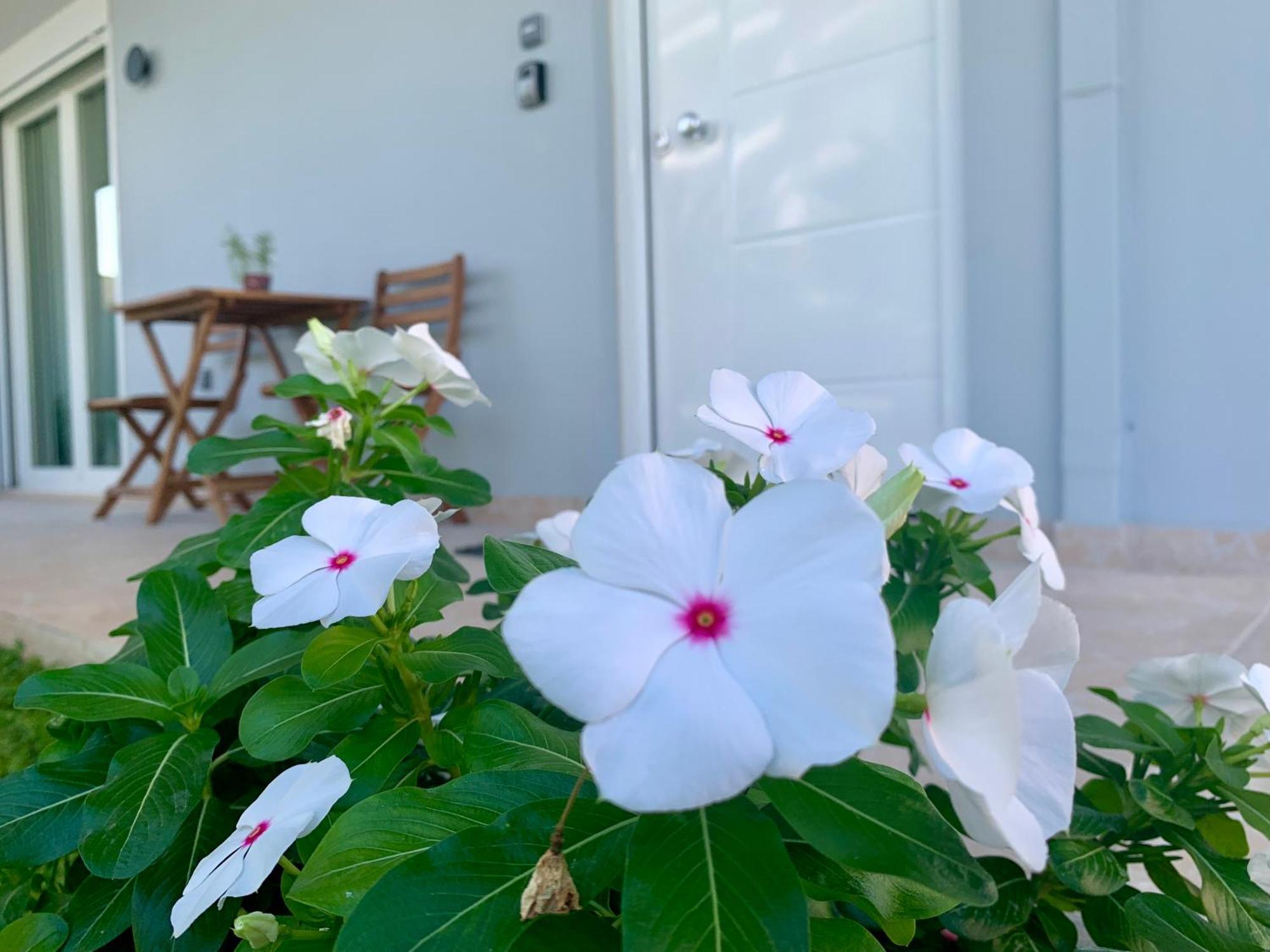 SpátaModern Mint Sunny House Near The Airportアパートメント エクステリア 写真